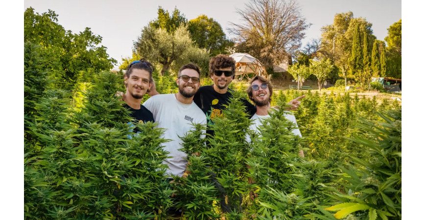 Narnia Cannabis Crew: Passione e Rispetto al Servizio della Natura – Soft Secrets parla di noi