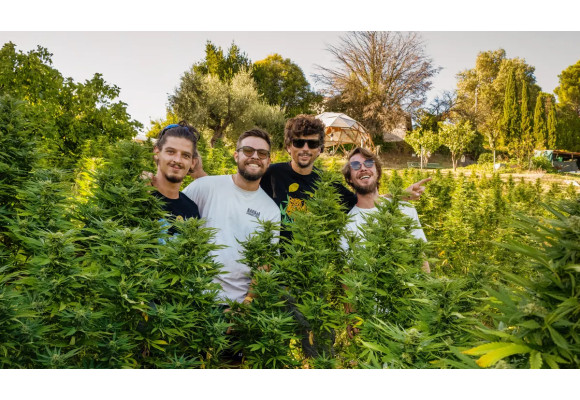 Narnia Cannabis Crew: Passione e Rispetto al Servizio della Natura – Soft Secrets parla di noi