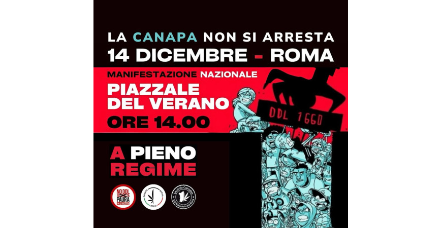 Manifestazione Nazionale contro il DDL Sicurezza: Difendiamo il Settore della Canapa il 14 Dicembre a Roma